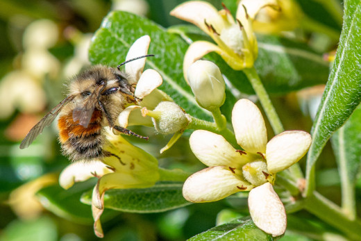 �1761776 �������(a): ����������:1920x1280